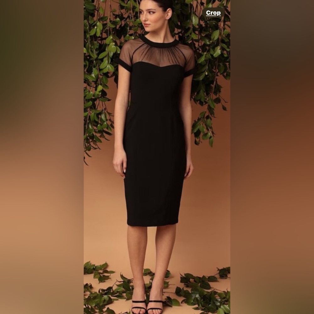 Maggy London Elegant Black Dress with Mesh Accents